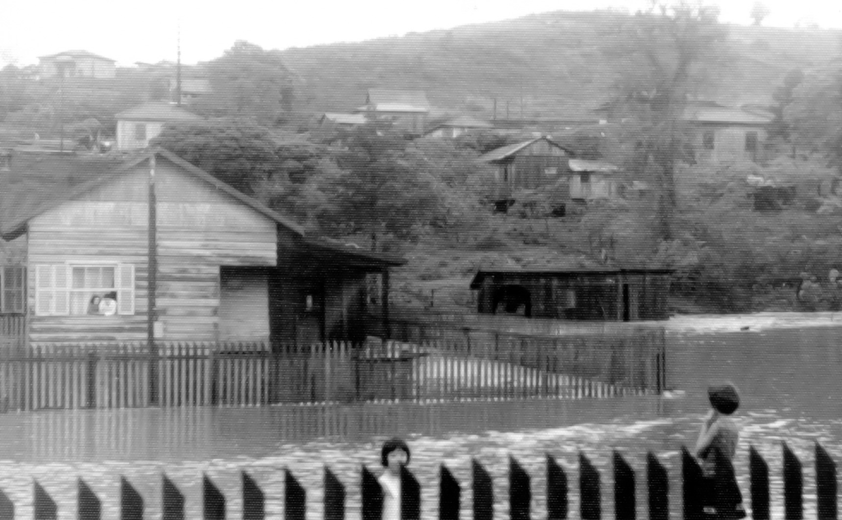 Zo� e Lut�rcio Pacheco em Pato Branco PR