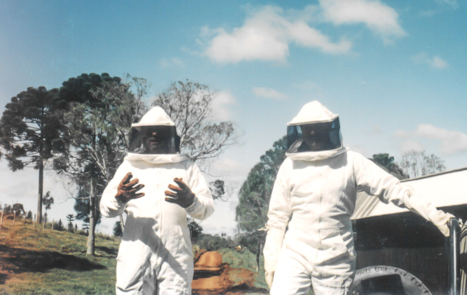 Lut�rcio e Osmar tirando Mel 1