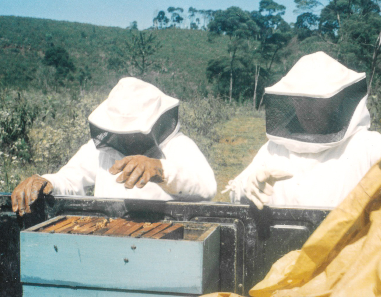 Lut�rcio e Osmar tirando Mel 2