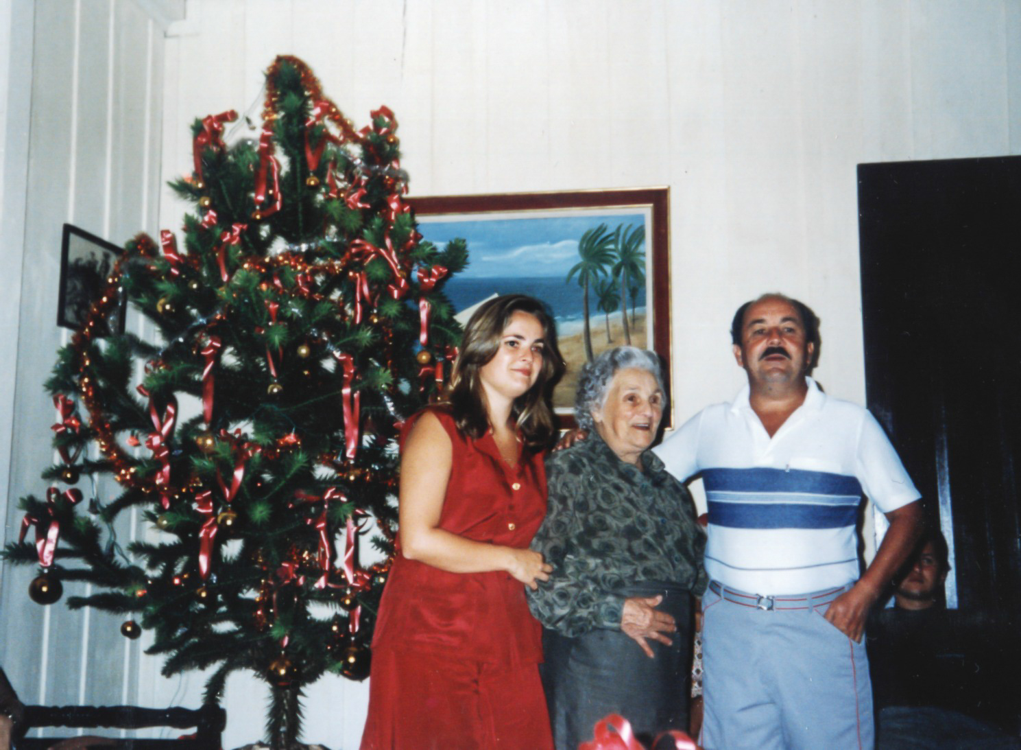 Natal na Fazenda Avestruz 2