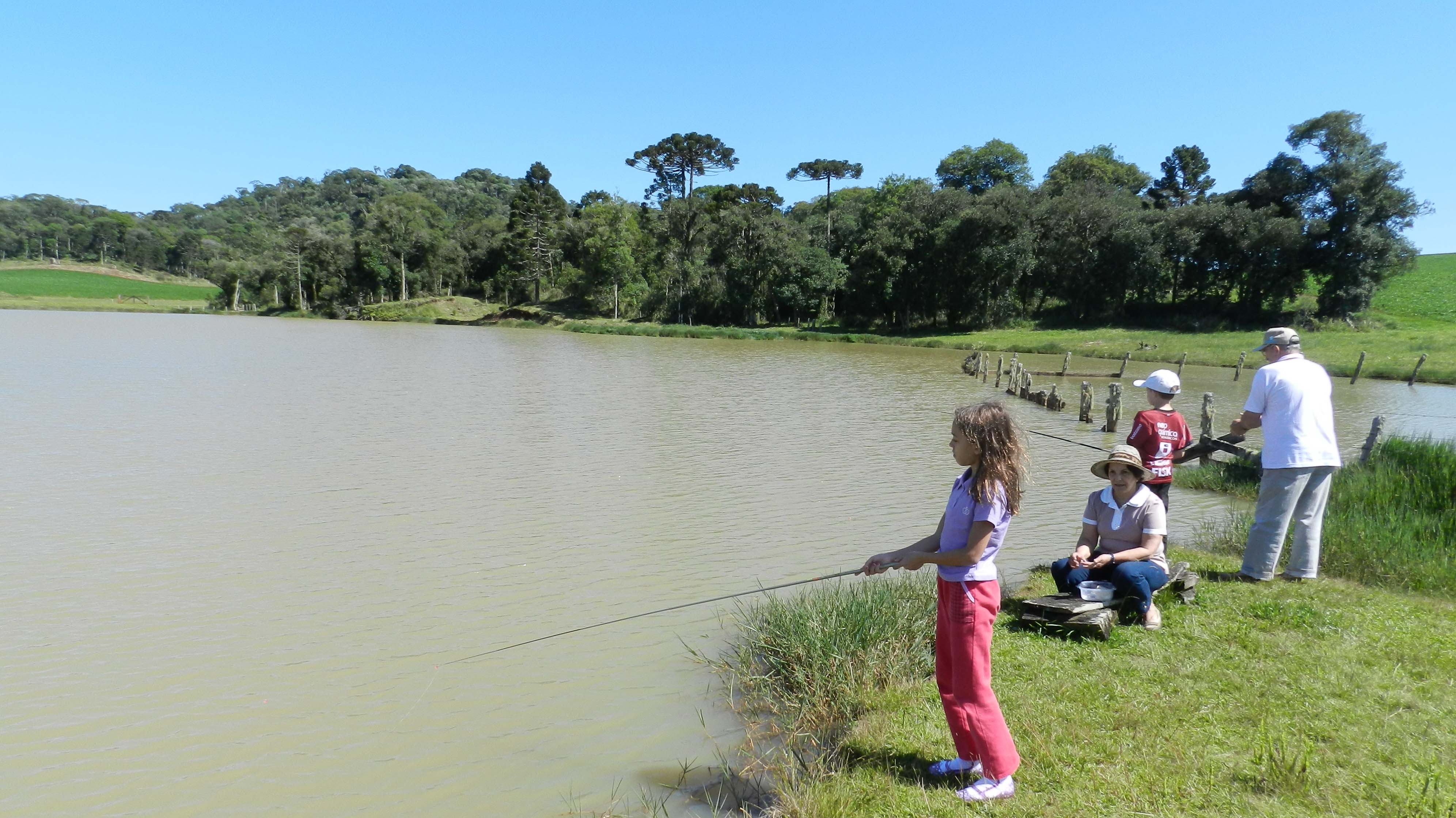 Fazenda Avestruz 2012
