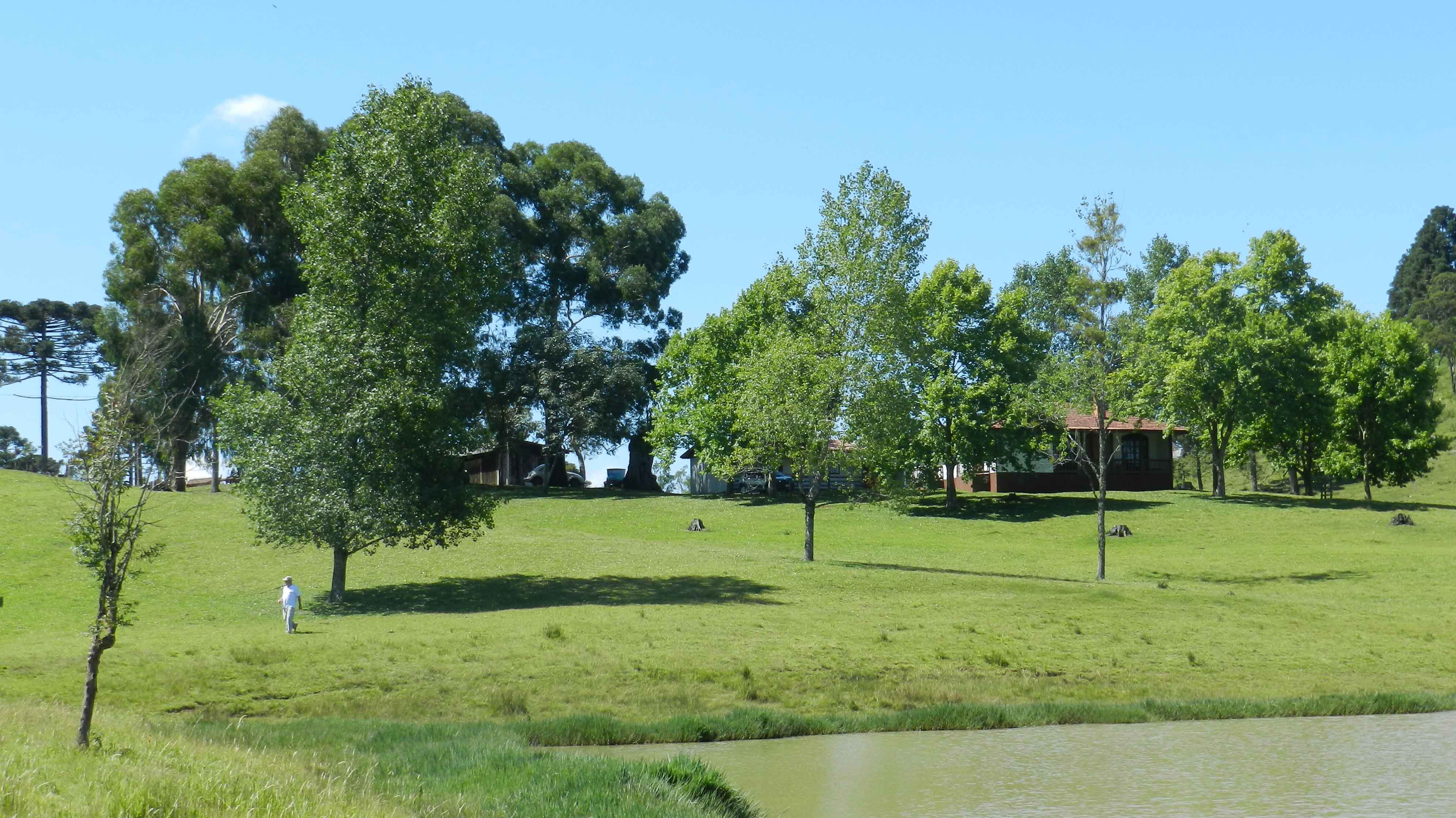 Fazenda Avestruz 2012