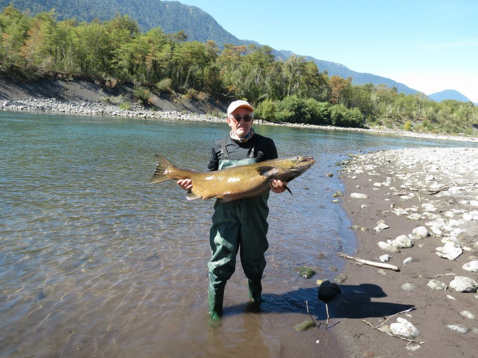 Pescaria Chile 2015 Pescaria Chile 2015