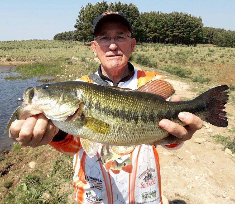 Pescaria Palmas 2017