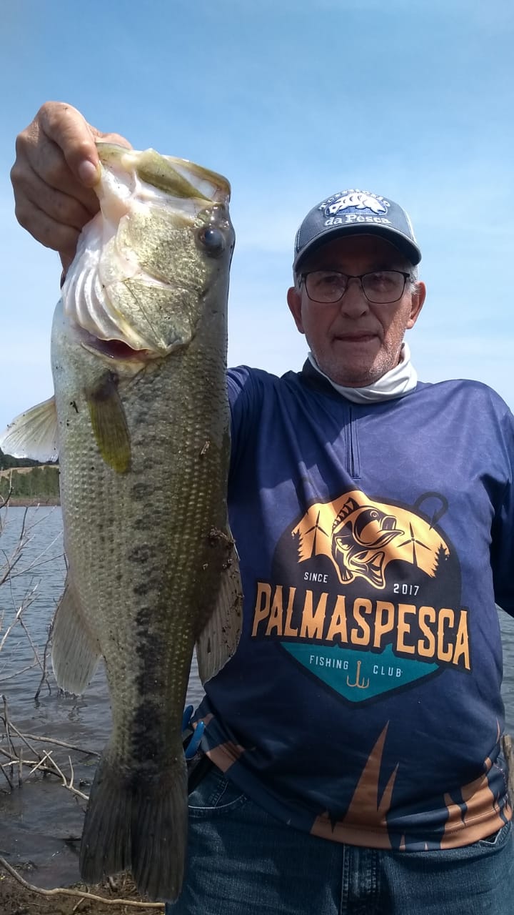 Pescaria Palmas 2023