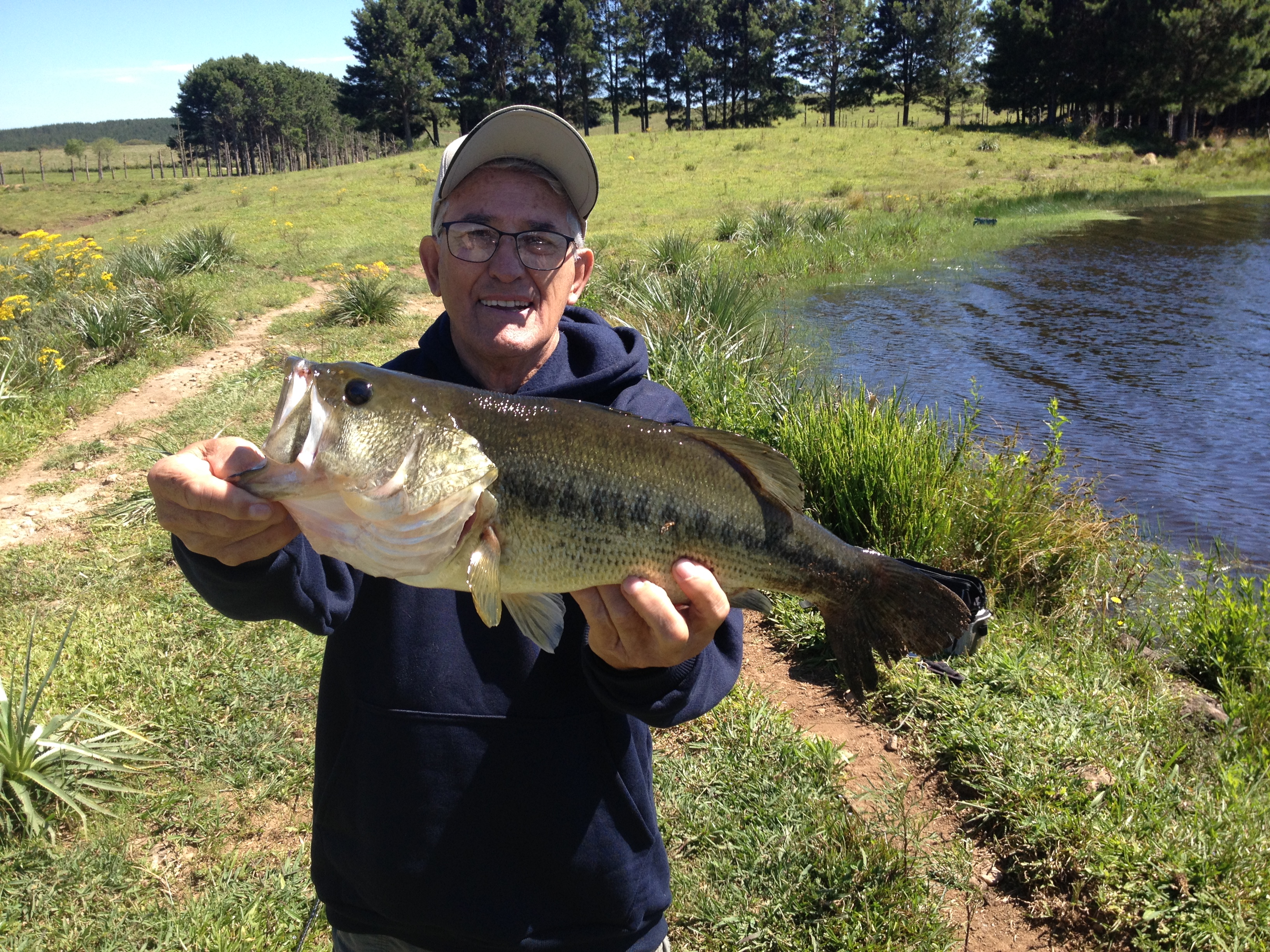 Pescaria Palmas 2023