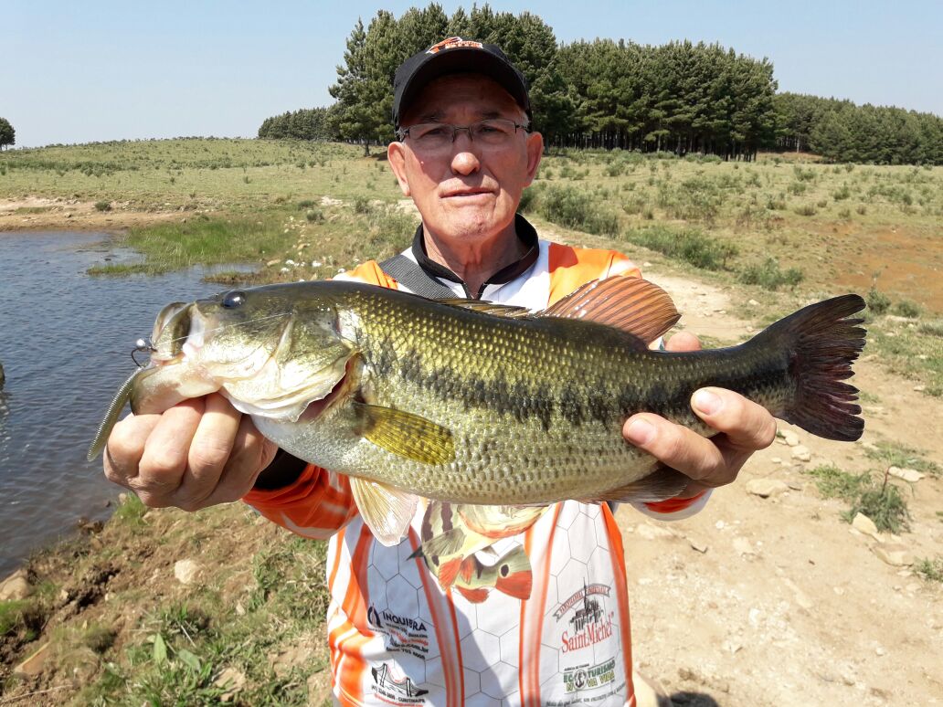 Pescaria Palmas 2023