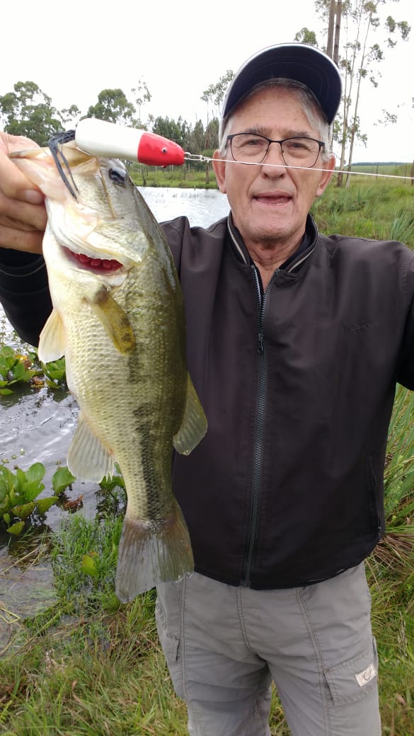 Pescaria Palmas 2023