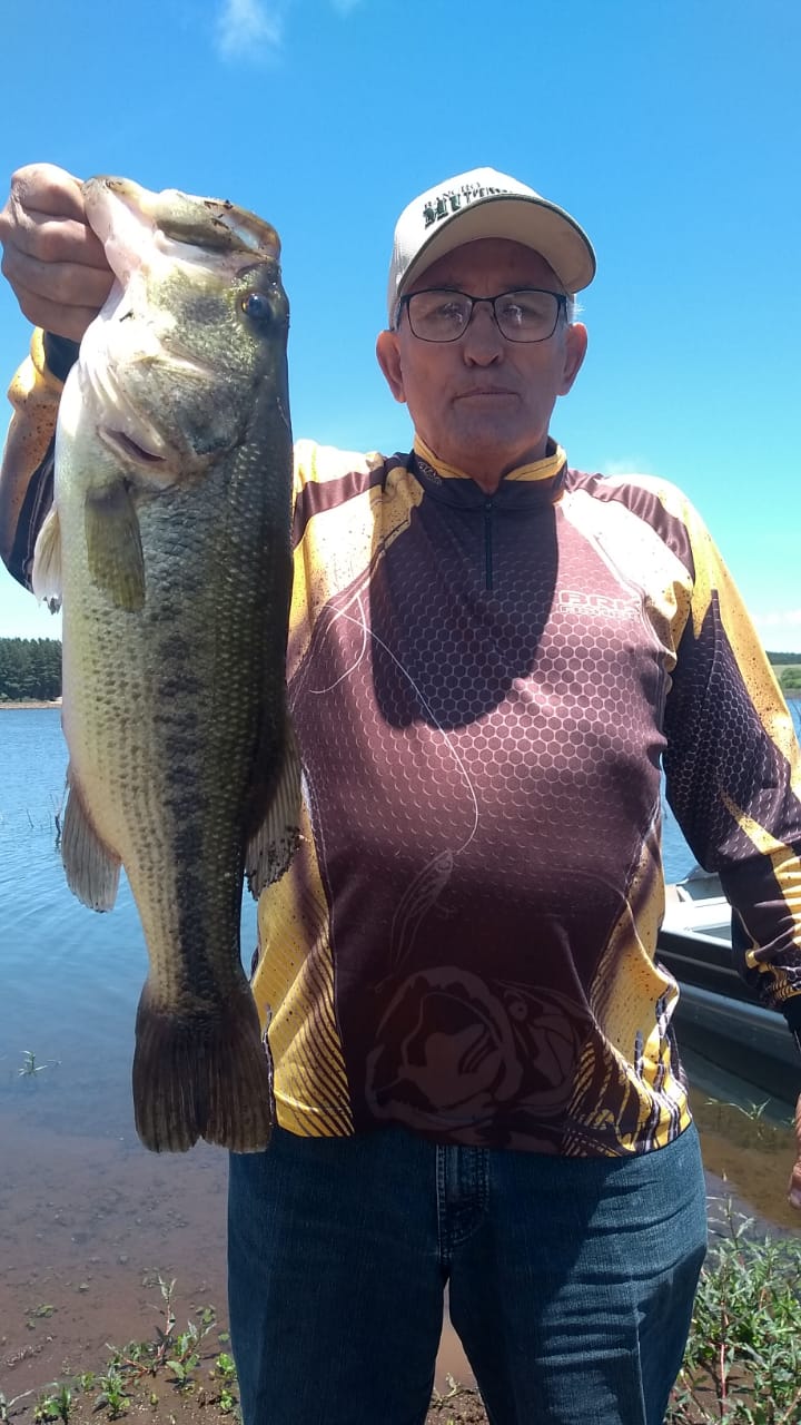 Pescaria Palmas 2023