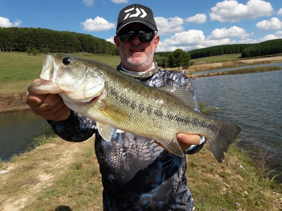 Pescaria Palmas 2023