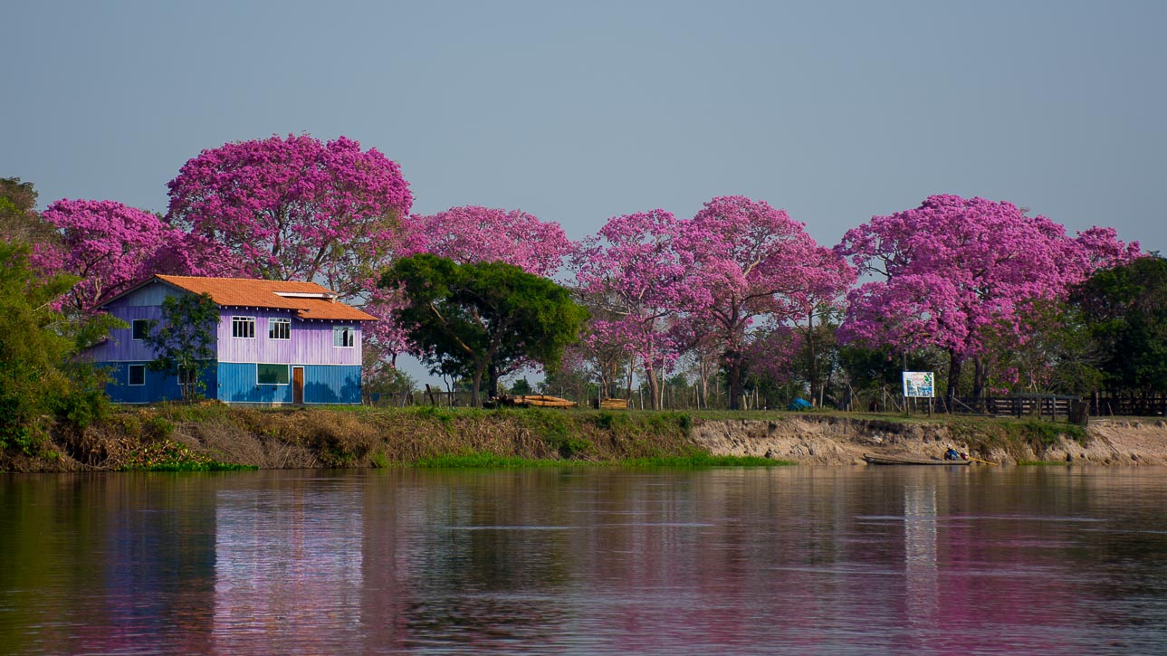 Pescaria Guapor� 2017