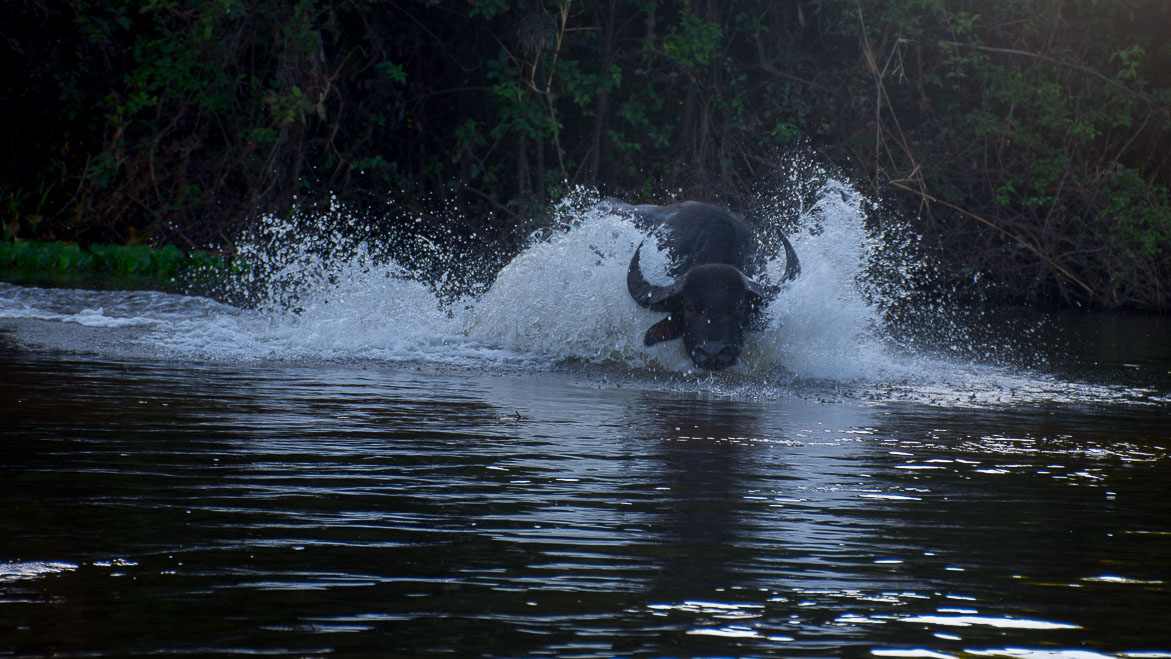 Pescaria Guapor� 2017