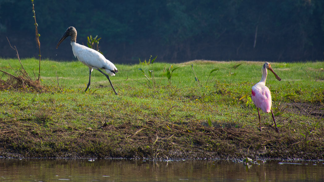 Pescaria Guapor� 2017