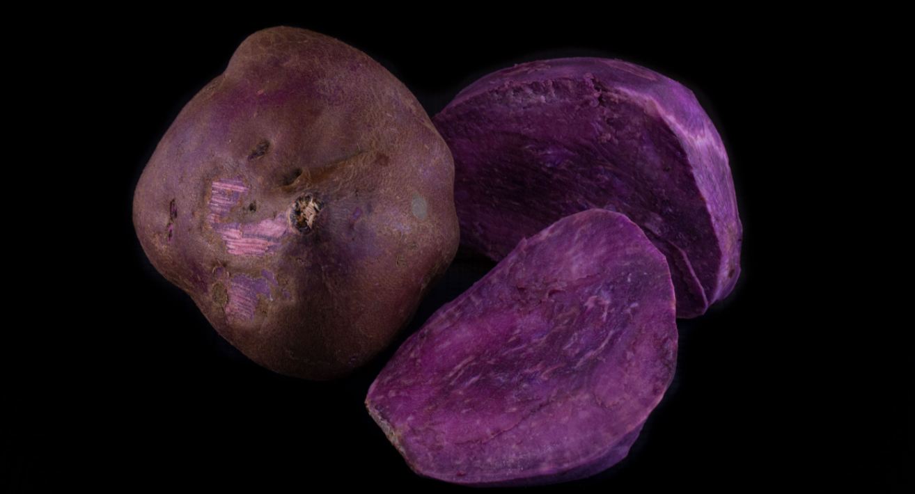 Variedade de Polpa Roxa (Ipomoea batatas)