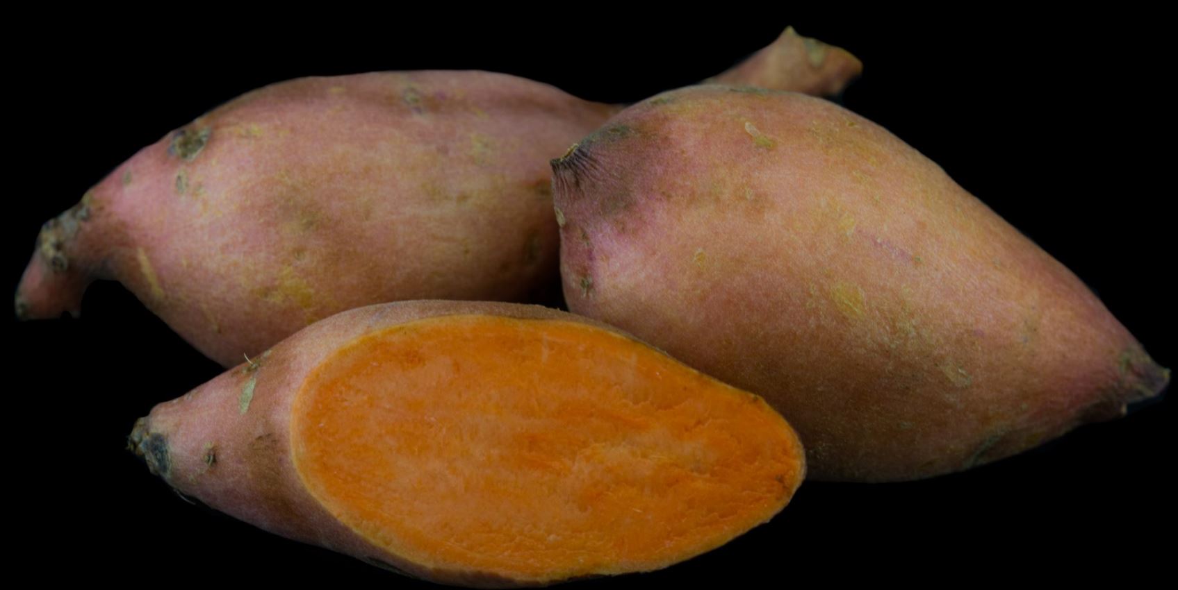 Variedade de Polpa Alaranjada (Ipomoea batatas)