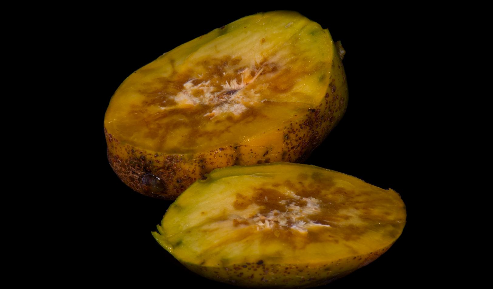 Fruto aberto (Spondias dulcis)