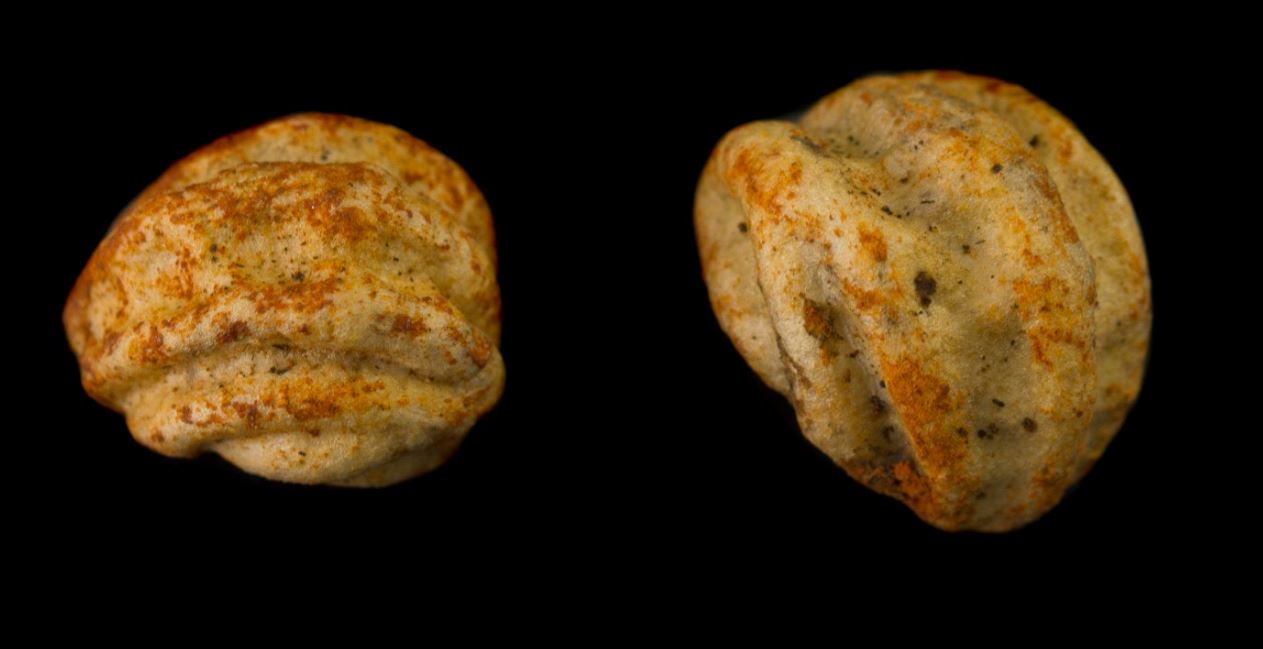 Sementes (Tropaeolum majus)