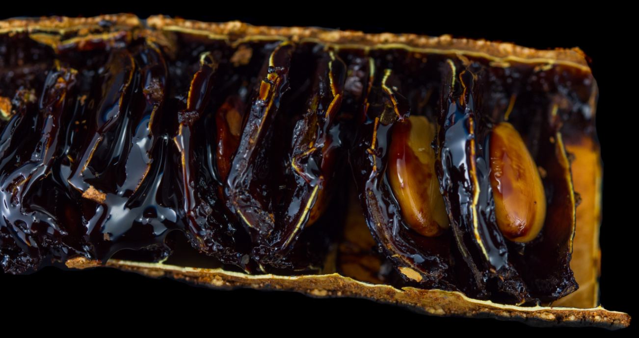 Vagem aberta (Cassia grandis)